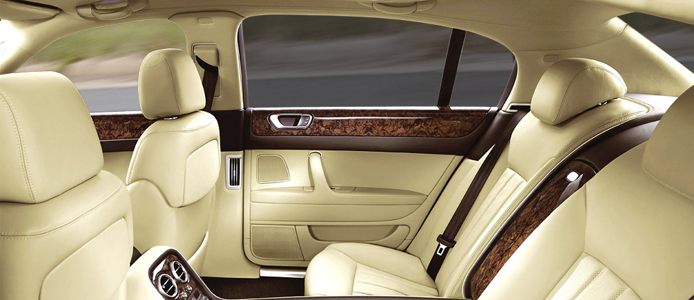 Solar Screen - Panthera 295 C - 51cm Solar Screen - Panthera 295 C - 51cm