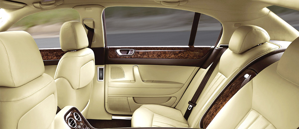 Solar Screen - Panthera 230 C - 51cm - ohne ABG Solar Screen - Panthera 230 C - 51cm - ohne ABG